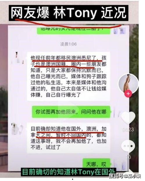 在网上吃瓜发表言论违法吗