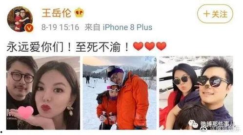 娱乐圈吃瓜要吃就吃个够,一网打尽，吃个够！